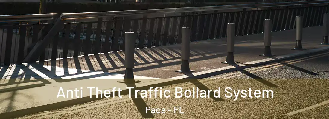  Anti Theft Traffic Bollard System Pace - FL